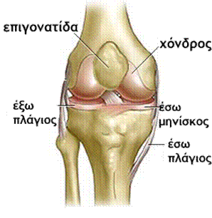 Ολική Αρθροπλαστική του Γόνατος